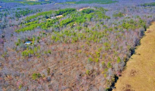 Photo #1 of 2 Watt Abbitt Road, Appomattox, VA 24.1 acres