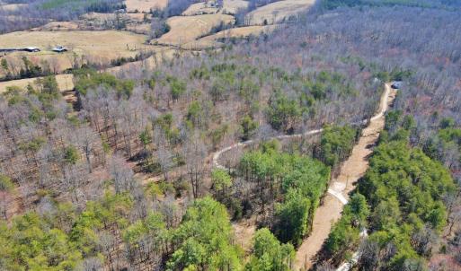 Photo #13 of 2 Watt Abbitt Road, Appomattox, VA 24.1 acres