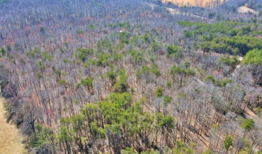 Photo #9 of 2 Watt Abbitt Road, Appomattox, VA 24.1 acres