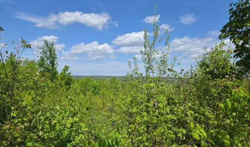 Photo #1 of Leigh Mountain Rd, Green Bay, VA 25.9 acres