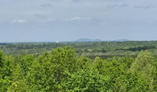Photo #2 of Leigh Mountain Rd, Green Bay, VA 25.9 acres