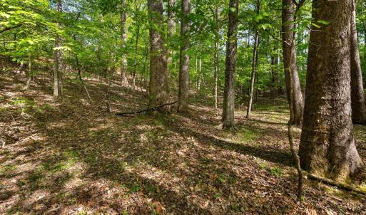 Photo #16 of 379 High Point Rd, Moneta, VA 2.5 acres