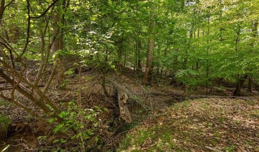 Photo #17 of 379 High Point Rd, Moneta, VA 2.5 acres