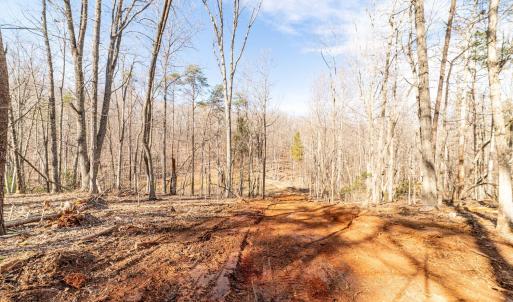Photo #4 of 2 Venturous Trail, Goode, VA 10.0 acres