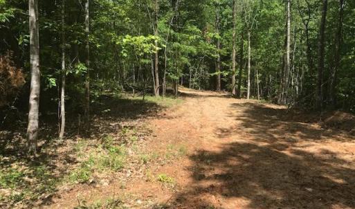 Photo #2 of 687 Elon Rd, Madison Heights, VA 104.1 acres