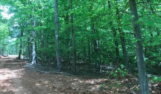Photo #14 of 687 Elon Rd, Madison Heights, VA 104.1 acres