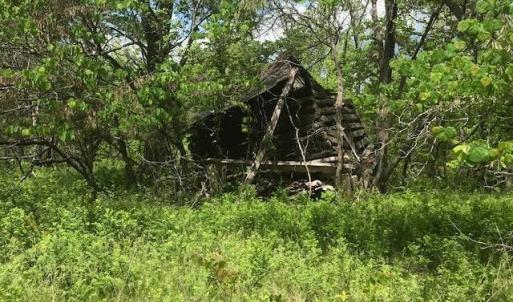 Photo #15 of 687 Elon Rd, Madison Heights, VA 104.1 acres