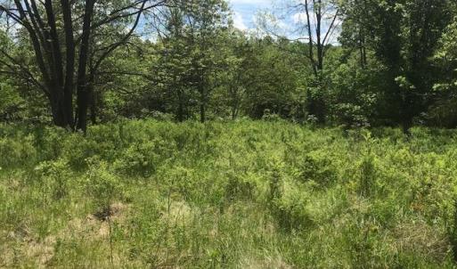 Photo #16 of 687 Elon Rd, Madison Heights, VA 104.1 acres