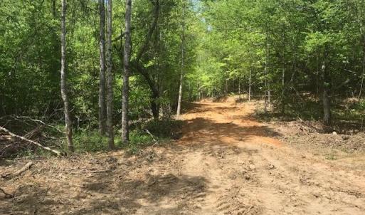 Photo #18 of 687 Elon Rd, Madison Heights, VA 104.1 acres