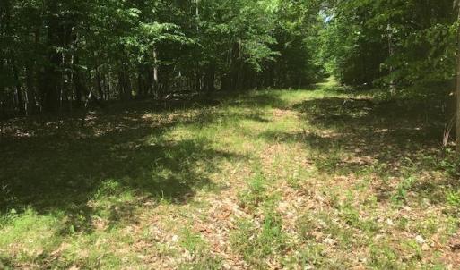 Photo #3 of 687 Elon Rd, Madison Heights, VA 104.1 acres