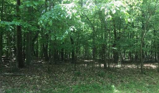 Photo #19 of 687 Elon Rd, Madison Heights, VA 104.1 acres