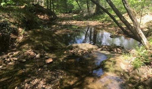 Photo #33 of 687 Elon Rd, Madison Heights, VA 104.1 acres