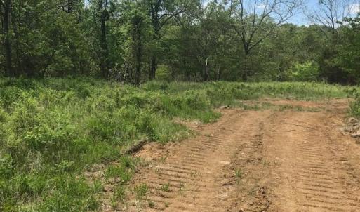 Photo #17 of 687 Elon Rd, Madison Heights, VA 104.1 acres
