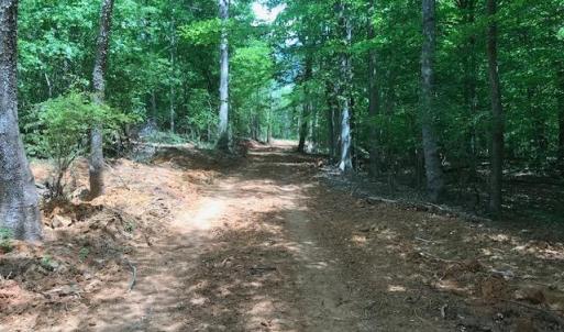 Photo #13 of 687 Elon Rd, Madison Heights, VA 104.1 acres
