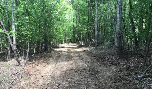 Photo #27 of 687 Elon Rd, Madison Heights, VA 104.1 acres