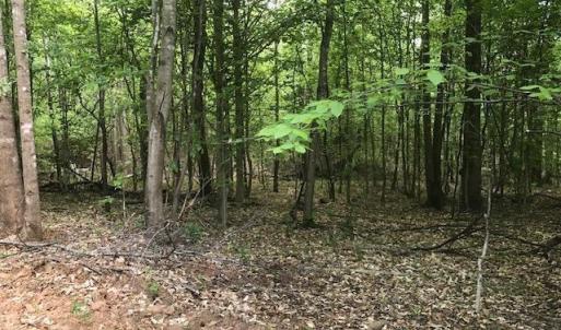Photo #34 of 687 Elon Rd, Madison Heights, VA 104.1 acres