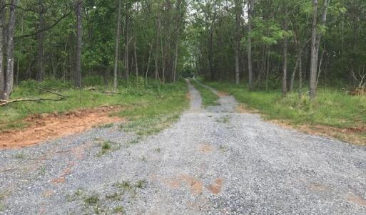 Photo #9 of 687 Elon Rd, Madison Heights, VA 105.0 acres
