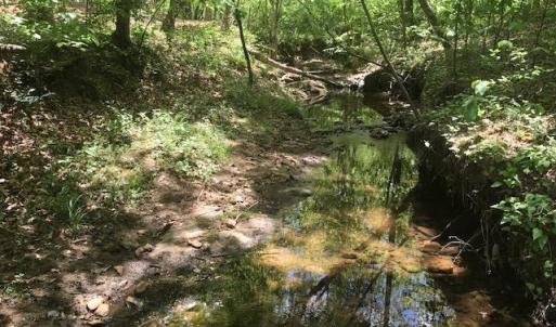 Photo #6 of 687 Elon Rd, Madison Heights, VA 105.0 acres