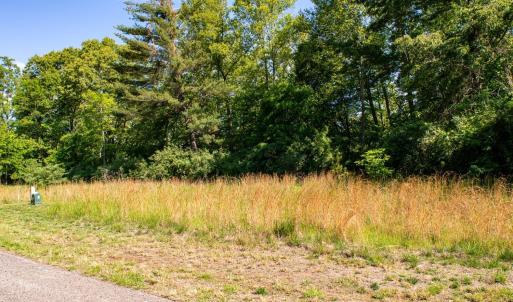Photo #3 of Watchtower Drive, Moneta, VA 0.6 acres