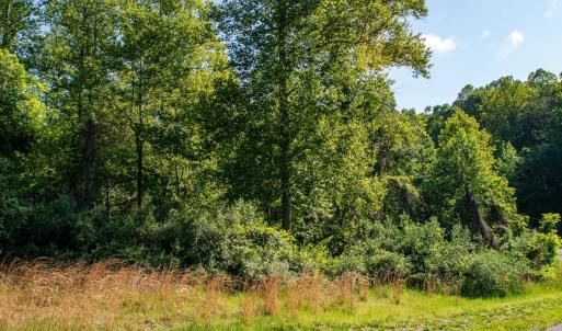 Photo #2 of Watchtower Drive, Moneta, VA 0.6 acres