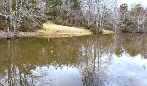 Photo #87 of 7941 Sugar Hill Road, Brookneal, VA 48.6 acres