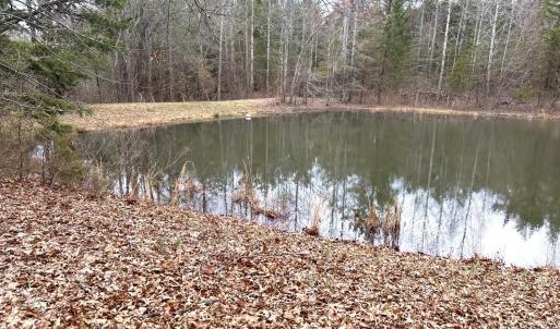 Photo #62 of 7941 Sugar Hill Road, Brookneal, VA 48.6 acres
