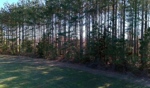 Photo #69 of 7941 Sugar Hill Road, Brookneal, VA 48.6 acres