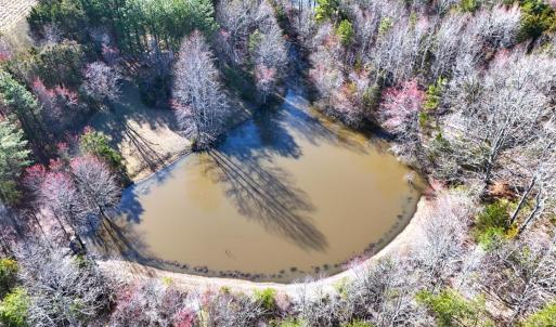 Photo #61 of 7941 Sugar Hill Road, Brookneal, VA 48.6 acres
