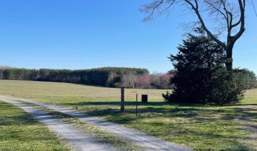 Photo #91 of 7941 Sugar Hill Road, Brookneal, VA 48.6 acres