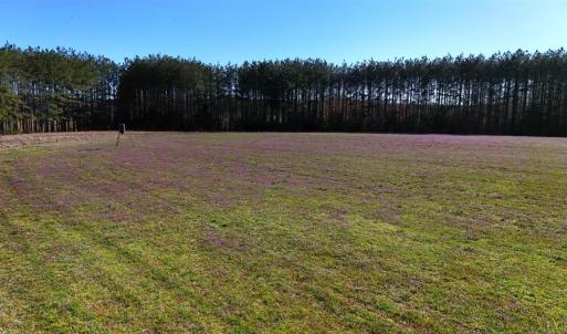 Photo #68 of 7941 Sugar Hill Road, Brookneal, VA 48.6 acres