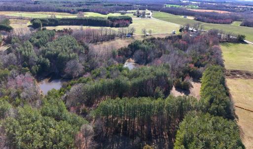 Photo #78 of 7941 Sugar Hill Road, Brookneal, VA 48.6 acres
