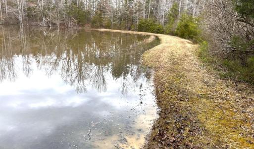 Photo #86 of 7941 Sugar Hill Road, Brookneal, VA 48.6 acres