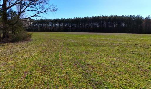 Photo #67 of 7941 Sugar Hill Road, Brookneal, VA 48.6 acres