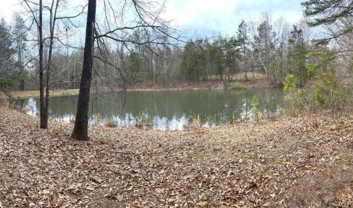 Photo #65 of 7941 Sugar Hill Road, Brookneal, VA 48.6 acres