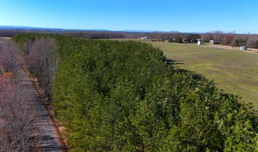 Photo #70 of 7941 Sugar Hill Road, Brookneal, VA 48.6 acres