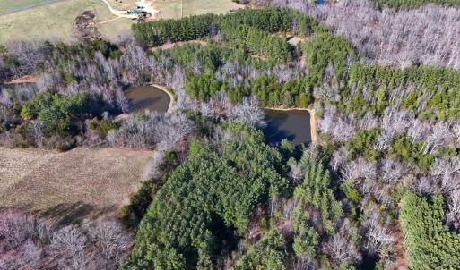 Photo #79 of 7941 Sugar Hill Road, Brookneal, VA 48.6 acres