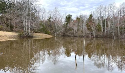 Photo #83 of 7941 Sugar Hill Road, Brookneal, VA 48.6 acres