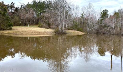 Photo #84 of 7941 Sugar Hill Road, Brookneal, VA 48.6 acres