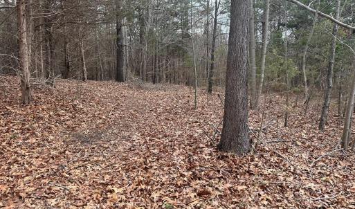 Photo #88 of 7941 Sugar Hill Road, Brookneal, VA 48.6 acres