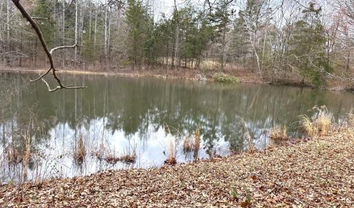 Photo #64 of 7941 Sugar Hill Road, Brookneal, VA 48.6 acres