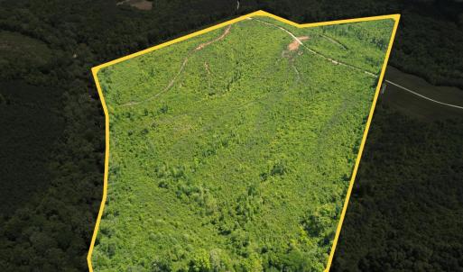 Photo #9 of Three Creeks Road, Gladys, VA 95.6 acres