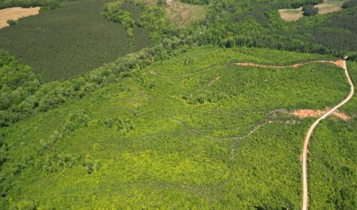 Photo #5 of Three Creeks Road, Gladys, VA 95.6 acres