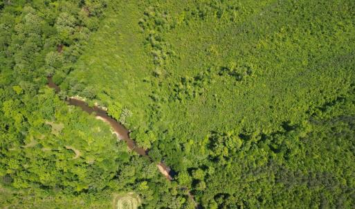 Photo #7 of Three Creeks Road, Gladys, VA 95.6 acres