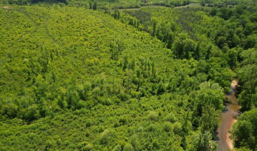 Photo #16 of Three Creeks Road, Gladys, VA 95.6 acres
