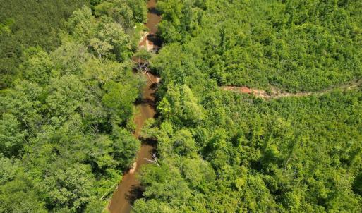 Photo #18 of Three Creeks Road, Gladys, VA 95.6 acres