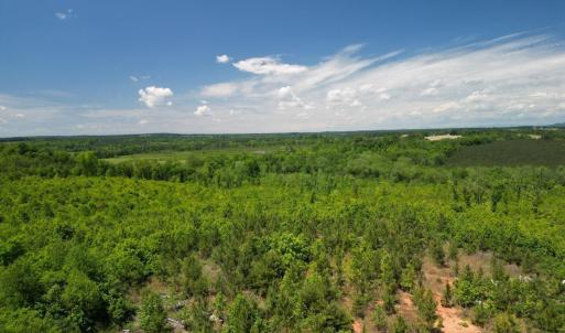Photo #31 of Three Creeks Road, Gladys, VA 95.6 acres