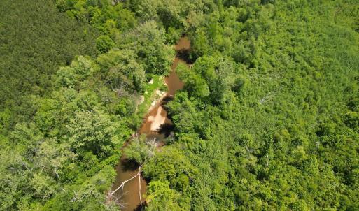 Photo #19 of Three Creeks Road, Gladys, VA 95.6 acres
