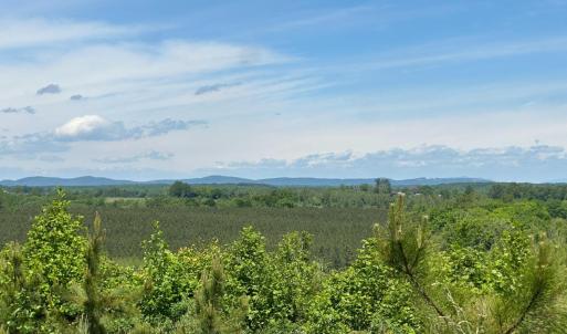 Photo #42 of Three Creeks Road, Gladys, VA 95.6 acres