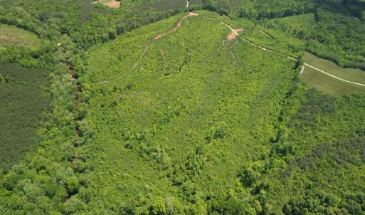 Photo #8 of Three Creeks Road, Gladys, VA 95.6 acres