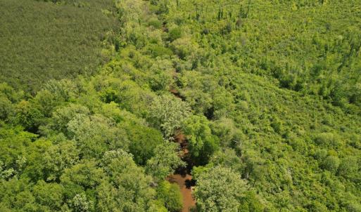 Photo #14 of Three Creeks Road, Gladys, VA 95.6 acres
